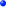 bullet2.gif (114 Byte)